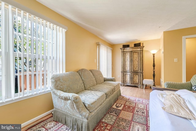 living room featuring hardwood / wood-style flooring