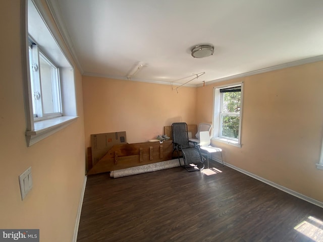 interior space featuring ornamental molding and dark hardwood / wood-style flooring