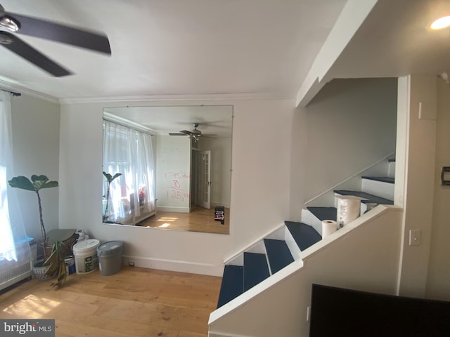 stairs with ornamental molding, ceiling fan, and hardwood / wood-style flooring