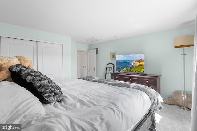 bedroom featuring carpet floors and a closet