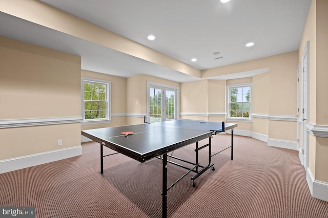 rec room with carpet floors and a wealth of natural light