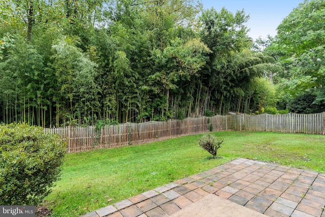 view of yard featuring a patio