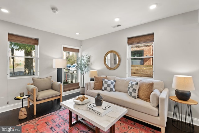 living room featuring dark wood-type flooring