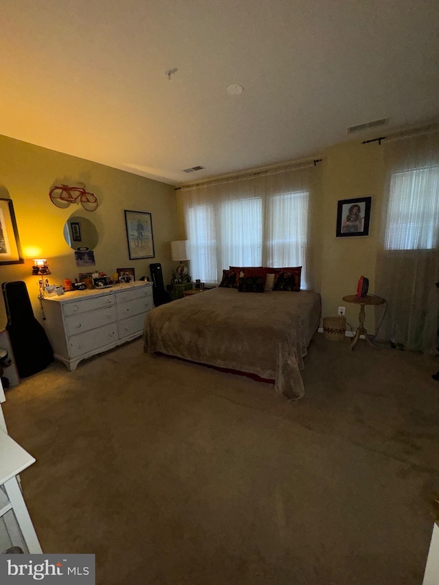 bedroom with carpet flooring