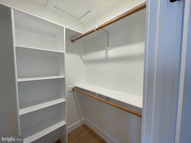 spacious closet with hardwood / wood-style flooring