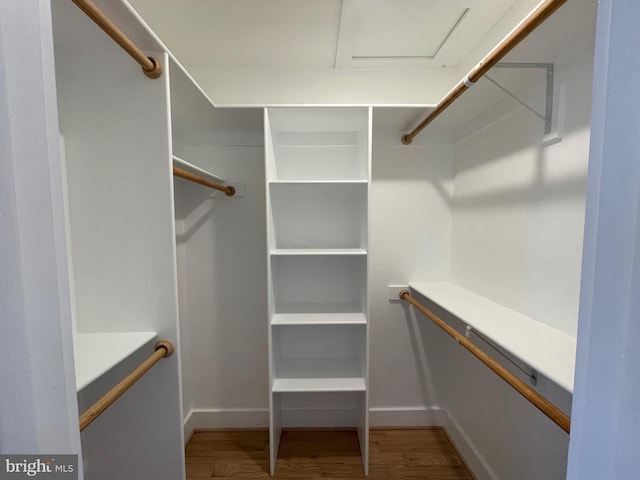 spacious closet featuring wood-type flooring