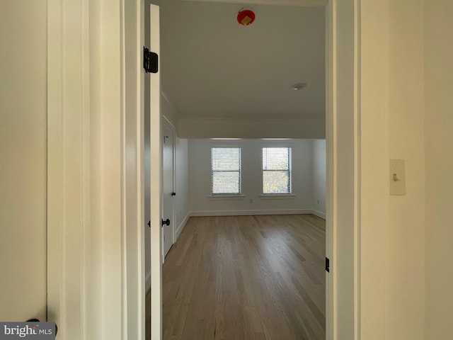 hallway featuring wood-type flooring