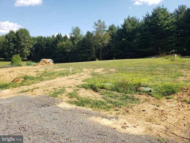 view of yard with a rural view