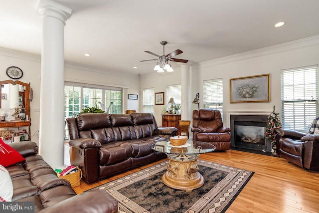 living room with ornamental molding, light hardwood / wood-style floors, ceiling fan, and plenty of natural light