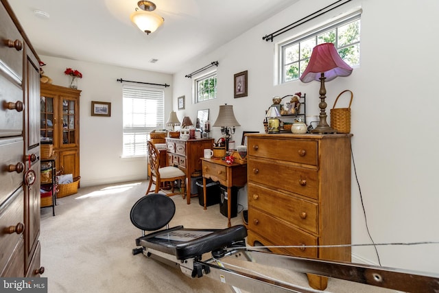 workout room featuring light colored carpet and plenty of natural light