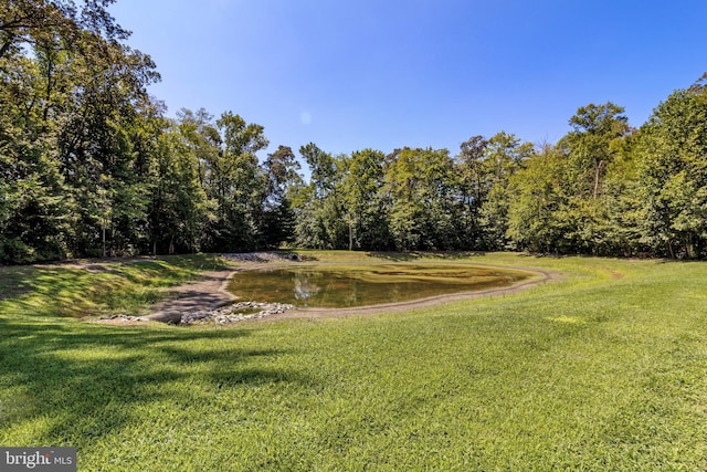 19045 Carey Ln, Georgetown, DE 19947 - view of yard