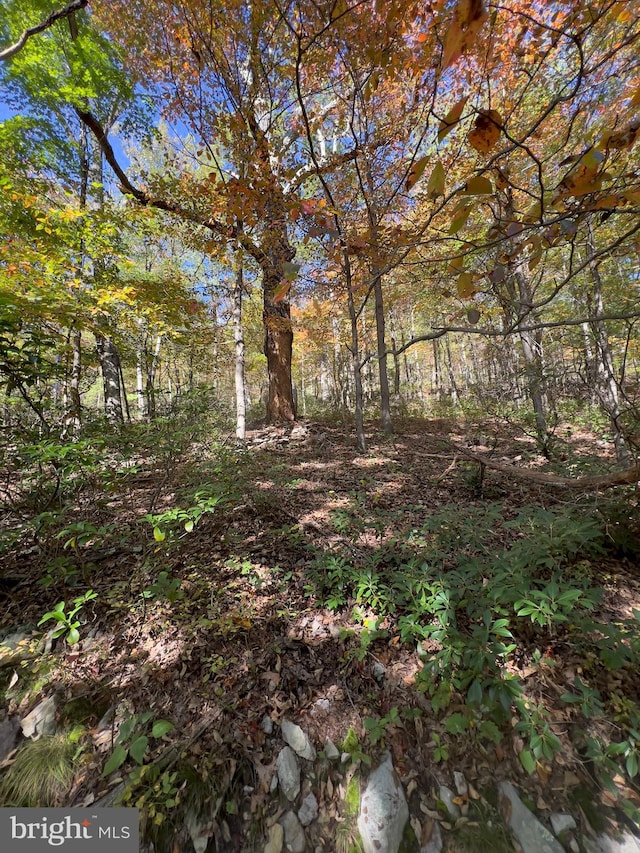 Fox Trl, Winchester VA, 22602 land for sale