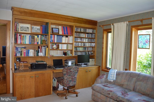 carpeted office space featuring built in desk