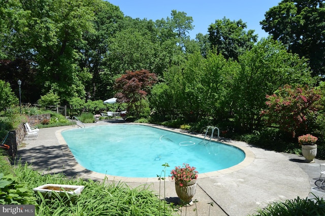 view of pool with a patio