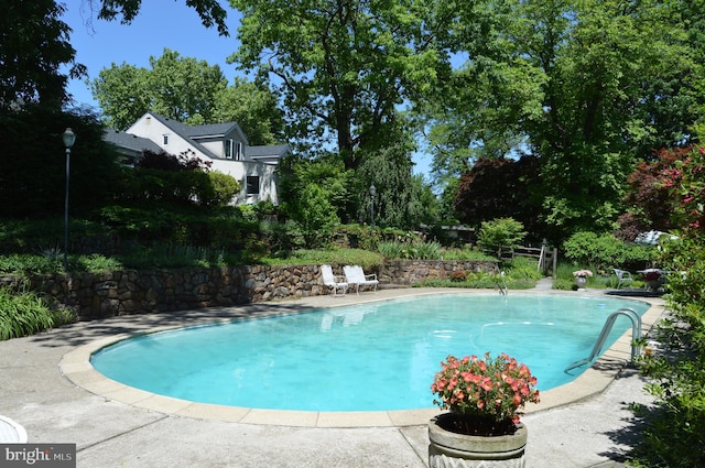 view of swimming pool