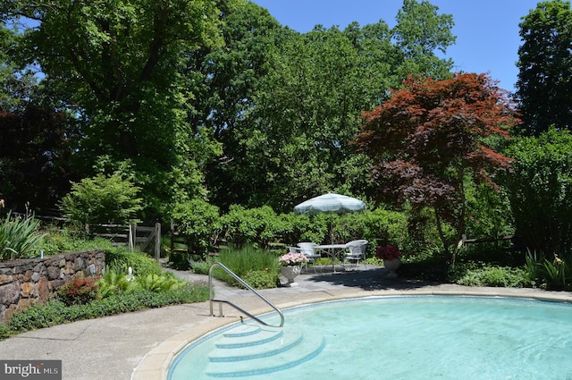 view of pool featuring a patio