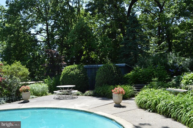 view of swimming pool with a patio area