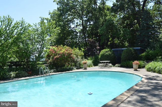 view of swimming pool with a patio area