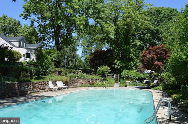 view of swimming pool with a patio area