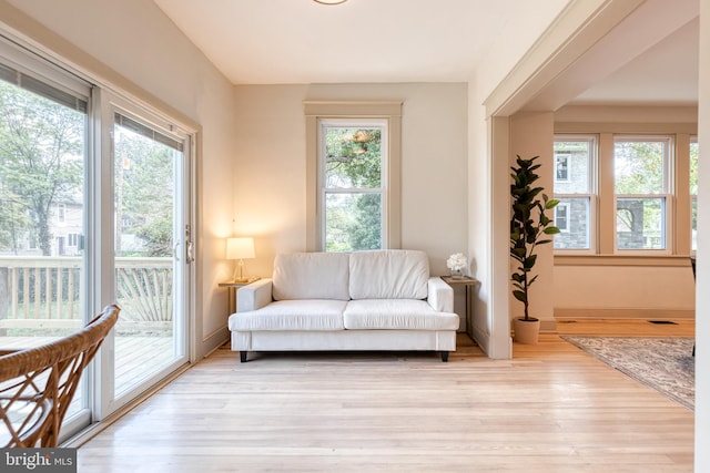 living area with light hardwood / wood-style floors and a wealth of natural light