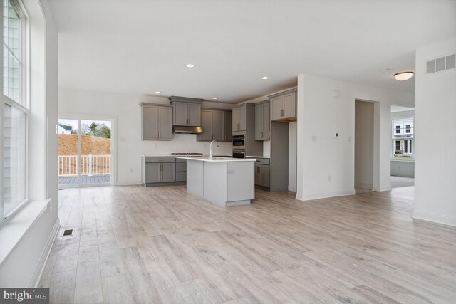 foyer entrance featuring hardwood / wood-style floors