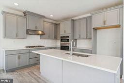 kitchen with gray cabinets, appliances with stainless steel finishes, exhaust hood, and sink