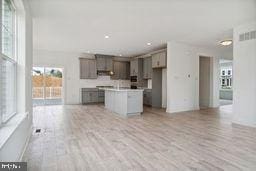 kitchen with gray cabinets, light hardwood / wood-style floors, and a center island