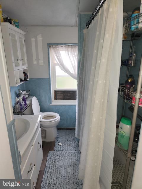 bathroom with vanity, toilet, and a shower with shower curtain