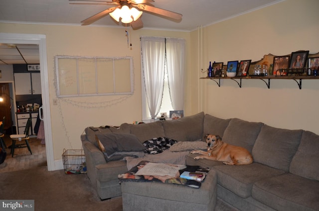 carpeted living room with ceiling fan and crown molding