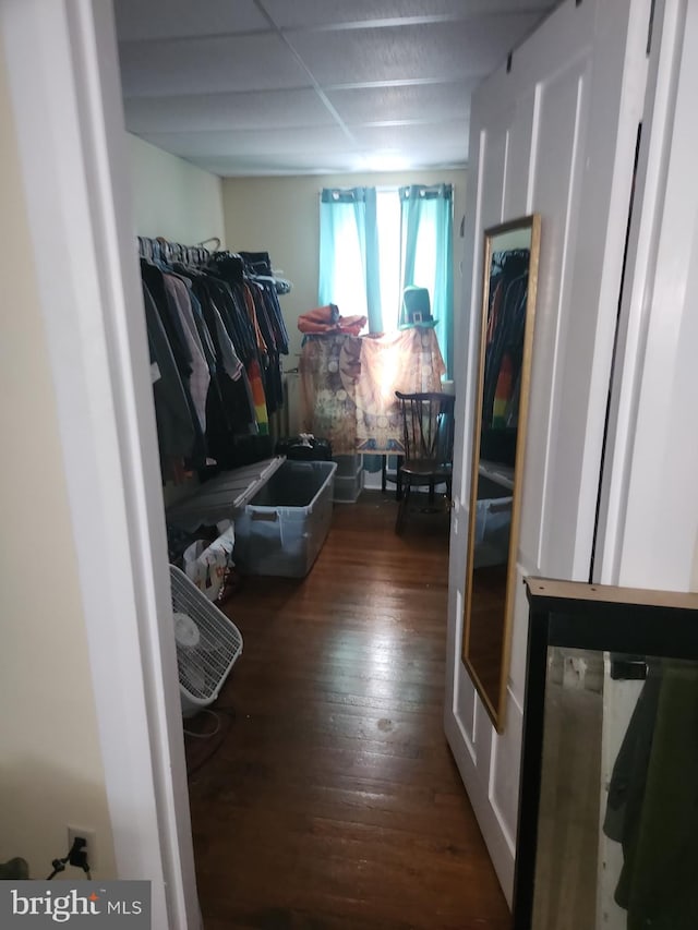 spacious closet with dark hardwood / wood-style flooring