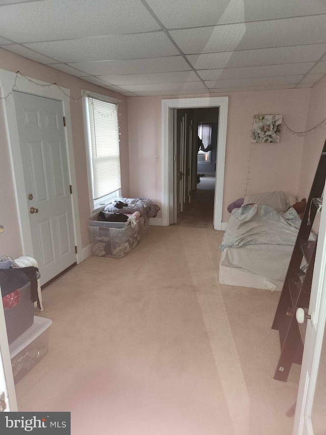 bedroom with a paneled ceiling and carpet