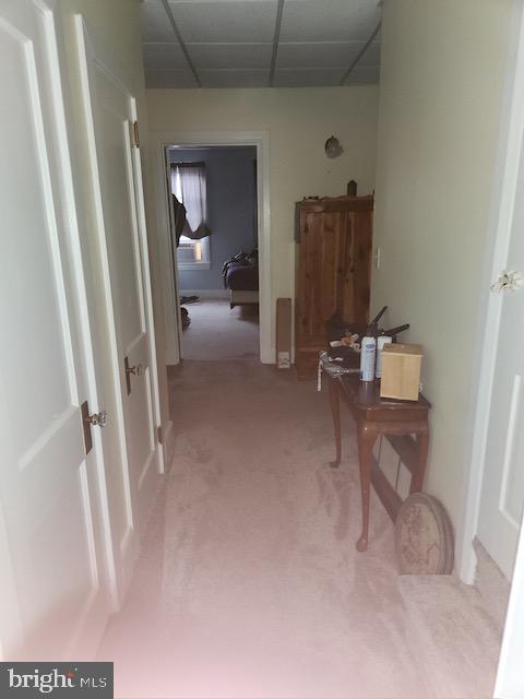 hallway with a paneled ceiling and carpet