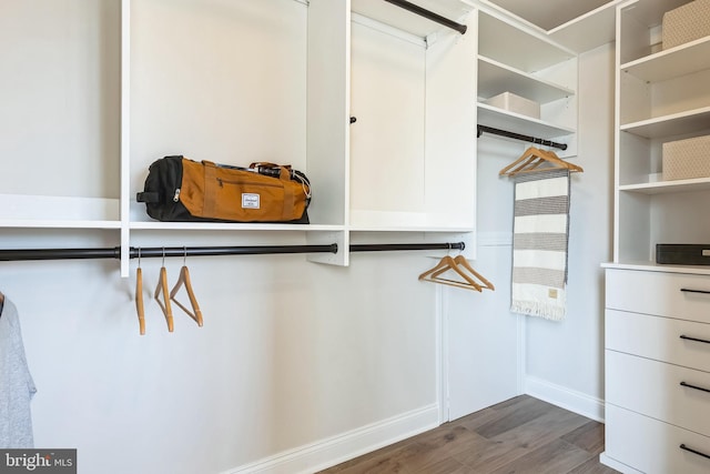 walk in closet featuring dark wood-type flooring