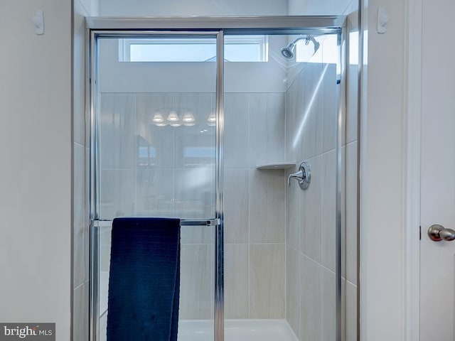 bathroom featuring a shower with shower door