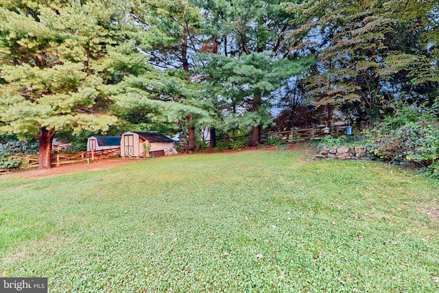 view of yard featuring a storage unit