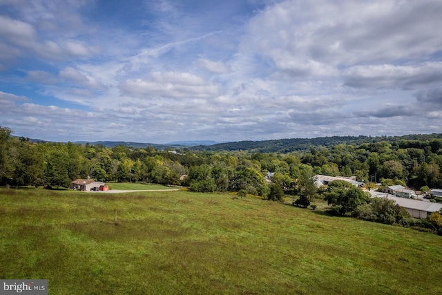 bird's eye view