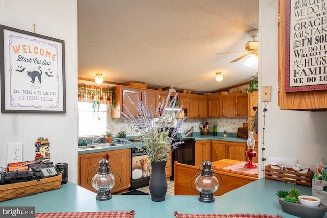 kitchen with a sink, a ceiling fan, vaulted ceiling, and a textured ceiling