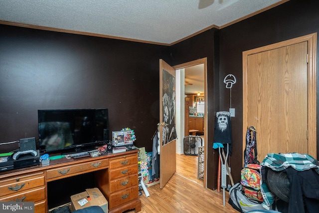 office space featuring ornamental molding, light hardwood / wood-style floors, and a textured ceiling