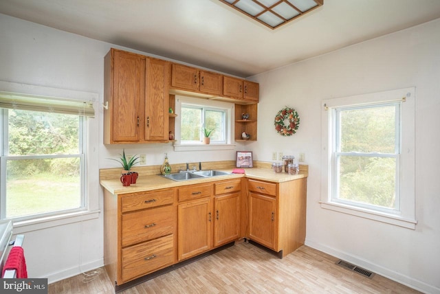 kitchen featuring light countertops, a sink, visible vents, and light wood-style flooring