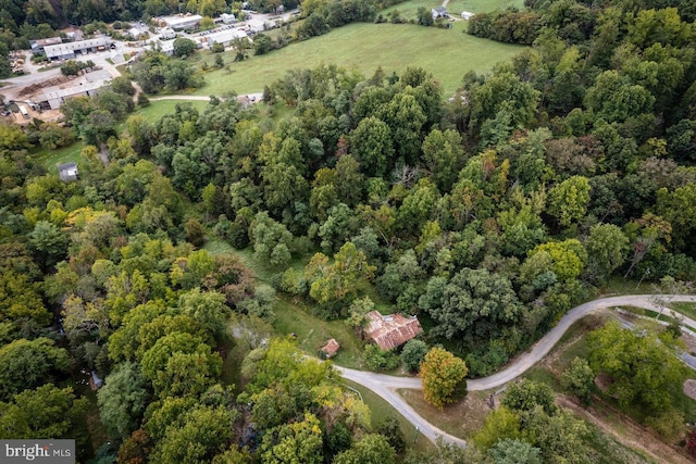 bird's eye view