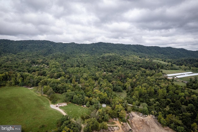 bird's eye view with a wooded view and a mountain view