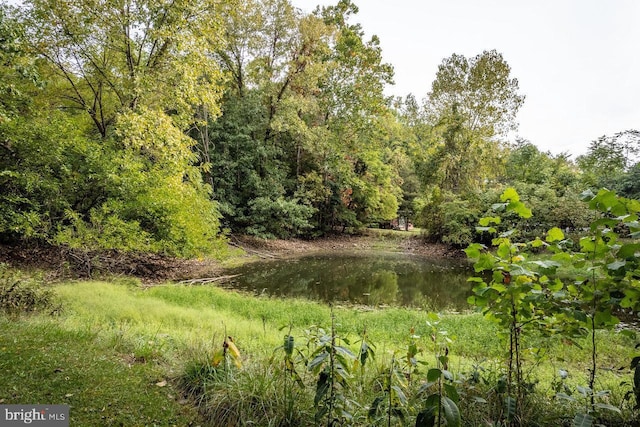 view of local wilderness with a water view and a forest view