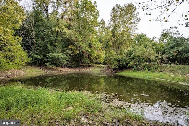 view of local wilderness featuring a water view