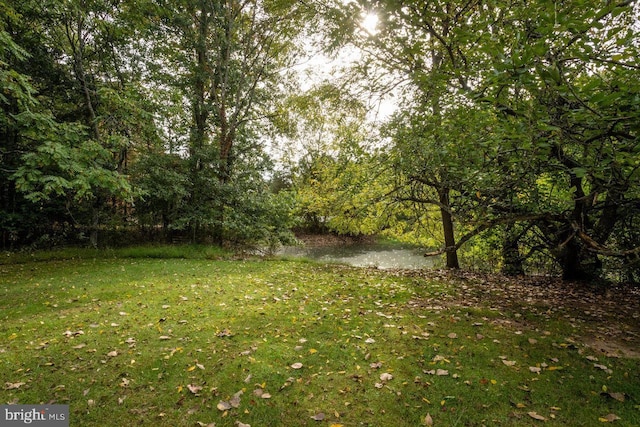 view of yard featuring a wooded view