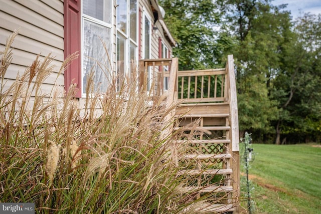 exterior space featuring a yard