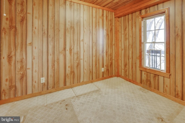 empty room featuring wooden walls