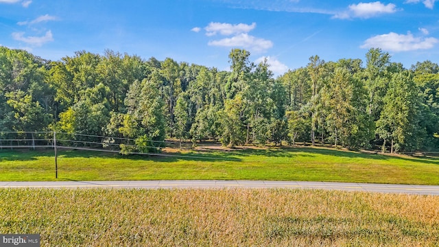 view of community with a lawn