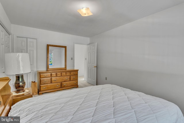 bedroom with a closet and light colored carpet