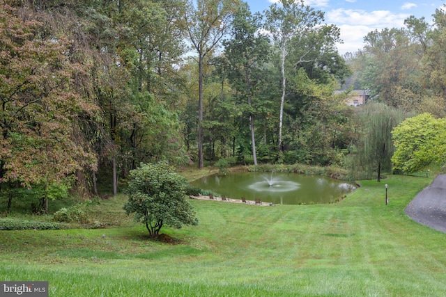 view of property's community with a water view and a yard