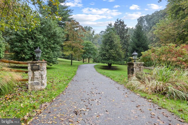 view of property's community with a yard